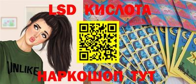 СК Ирбит