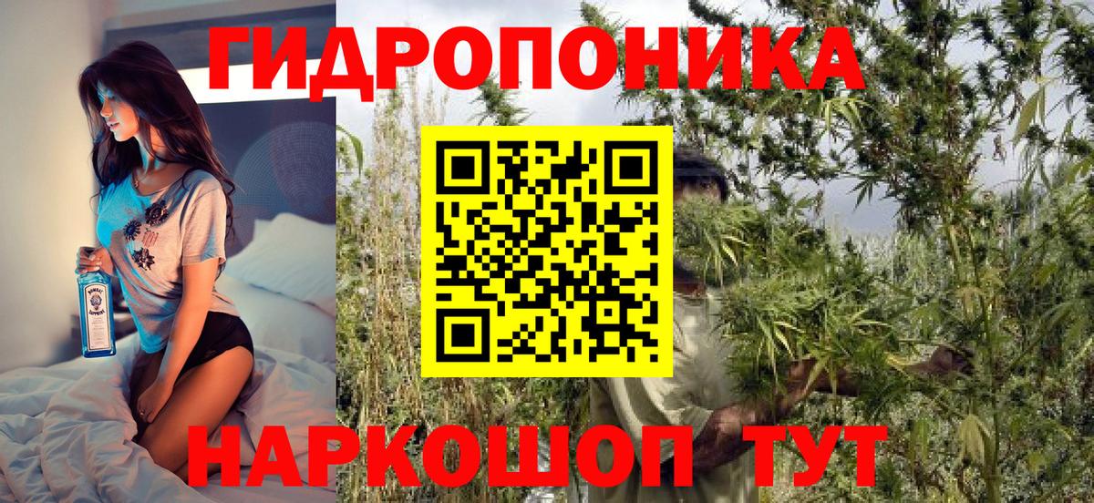 Шишки марихуана Ganja  МАРИХУАНА VHQ  Бошки марихуана SATIVA & INDICA  Серов  Вход с VPN 